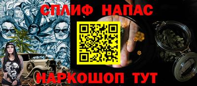 мдпв Будённовск