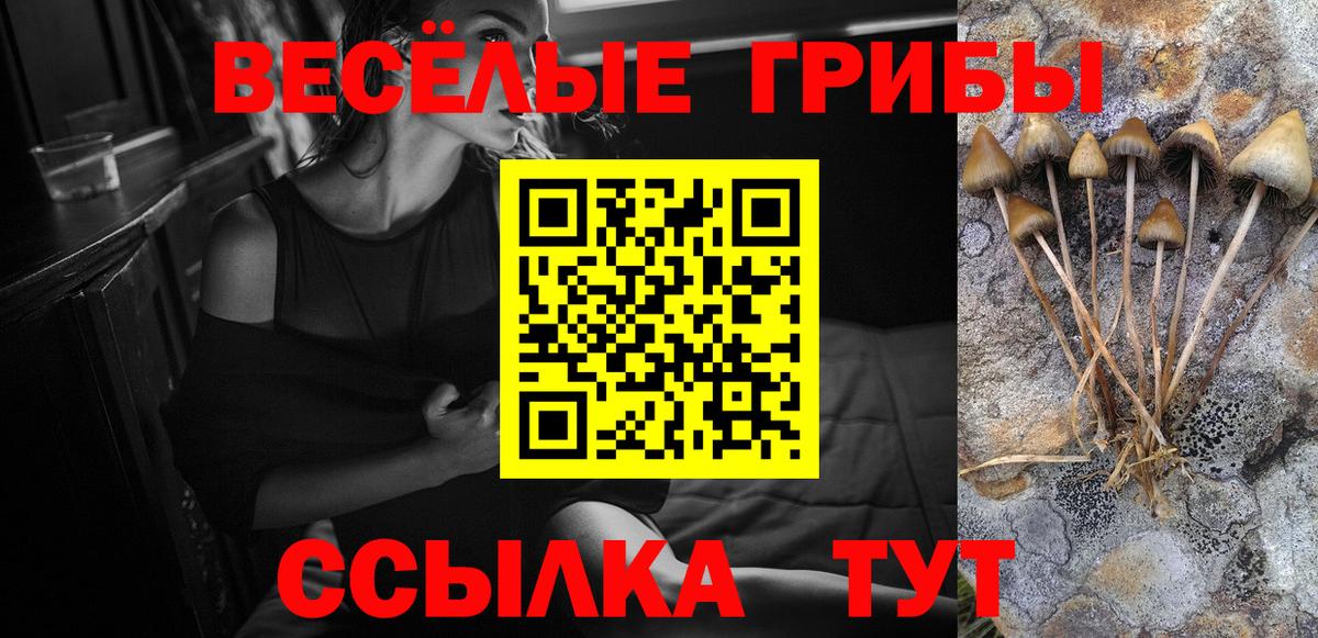 наркотики  Вход с VPN  Хасавюрт  Псилоцибиновые грибы прущие грибы  Галлюциногенные грибы GOLDEN TEACHER 