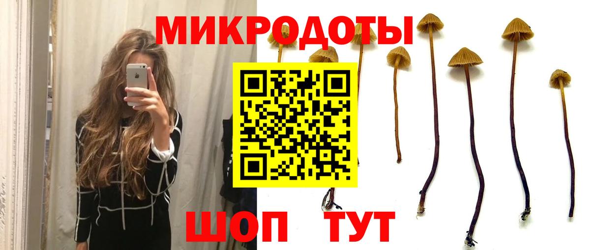 Псилоцибиновые грибы мухоморы Хасавюрт